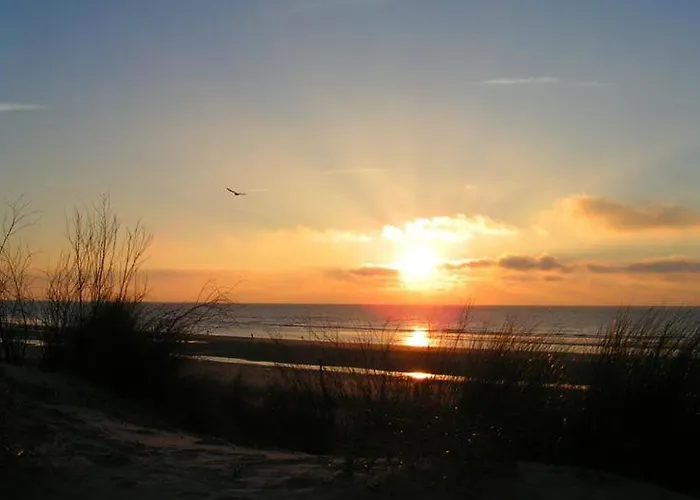 La Crevette Grise Appartement