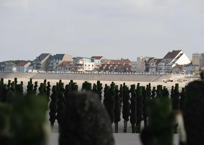 La Crevette Grise * Quend-Plage